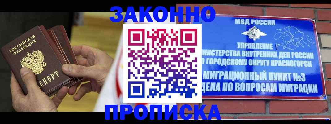 прописка для школы в Михайловке